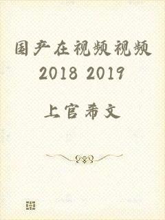 国产在视频视频2018 2019